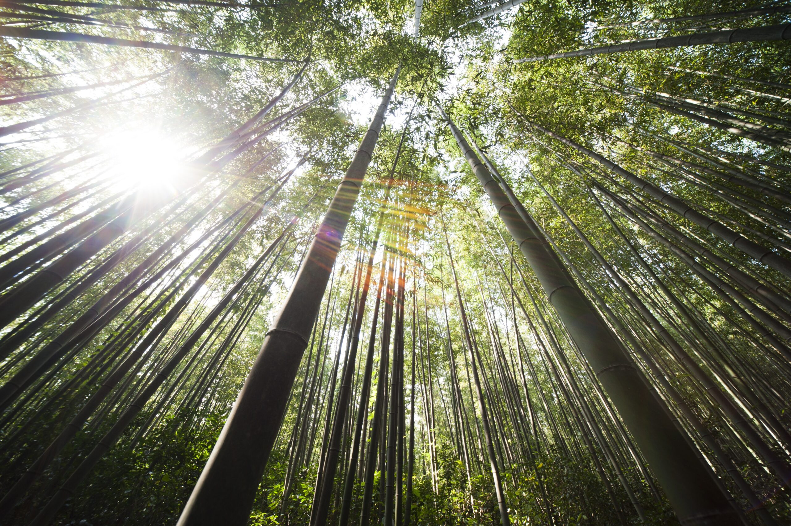 bambusová viskóza vlastnosti